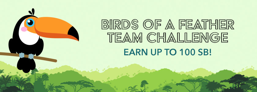 Birds of a Feather Team Challenge