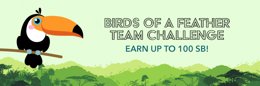 Birds of a Feather Team Challenge