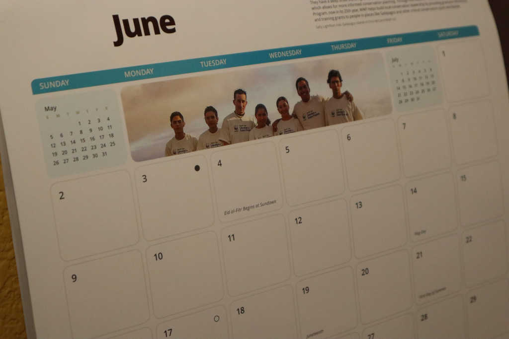 End of the Month, June Edition