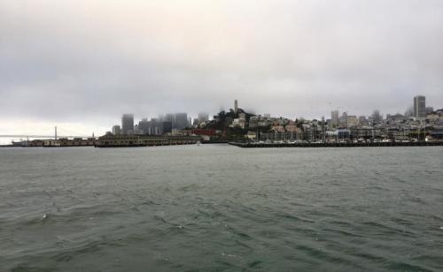 SF from Cruise